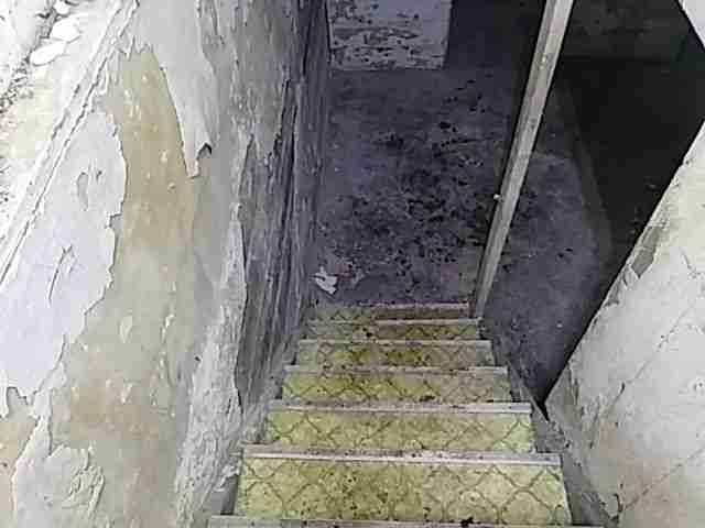 Testing again(60).jpg